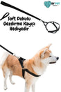 Safe And Comfortable Dog Chest With Soft Base
