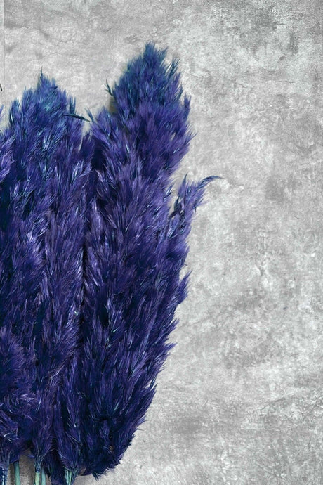 Shocked Blue Color Pampas Bundle of 10 - Swordslife