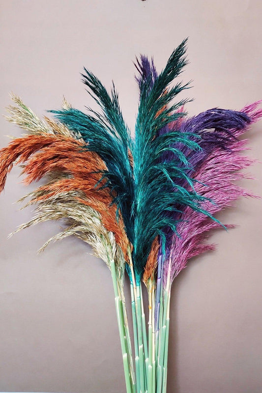 Shocked Pampas Grass 100 cm 15 Bunch Dried Flowers - Swordslife