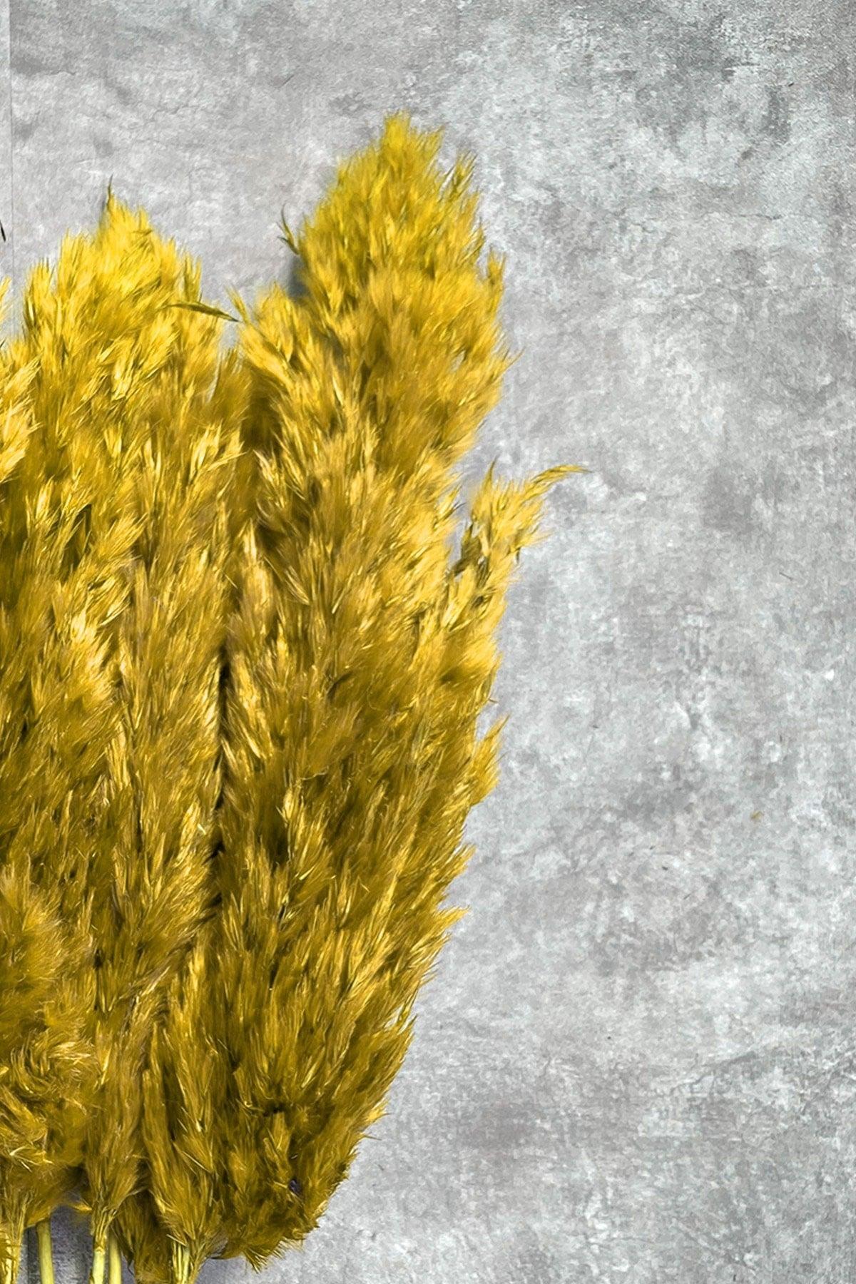 Shocked Yellow Color Pampas Bundle of 10 - Swordslife