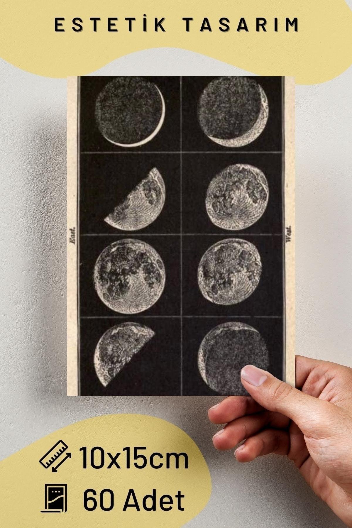 Space Poster Set - Collage Set - Room Decor - Wall Poster - Adhesive - Wall Decor - 60 Pieces - Swordslife