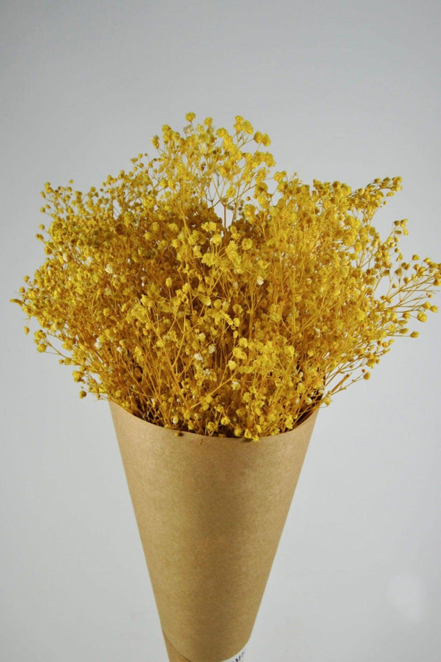 Shocked Yellow Colored Chips - Swordslife