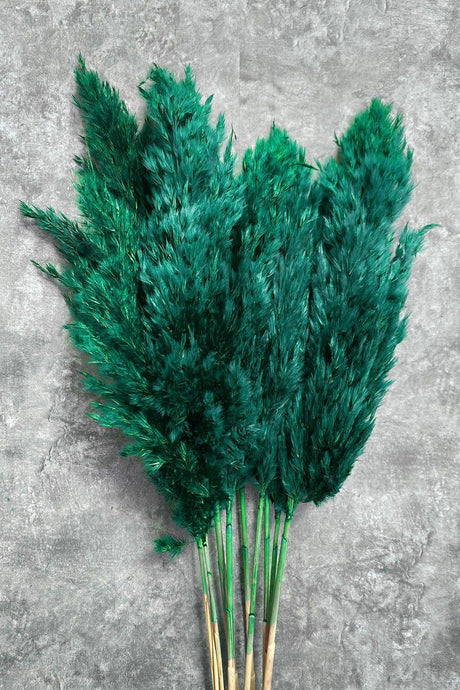 Shocked Emerald Green Color Pampas Bundle of 10 - Swordslife