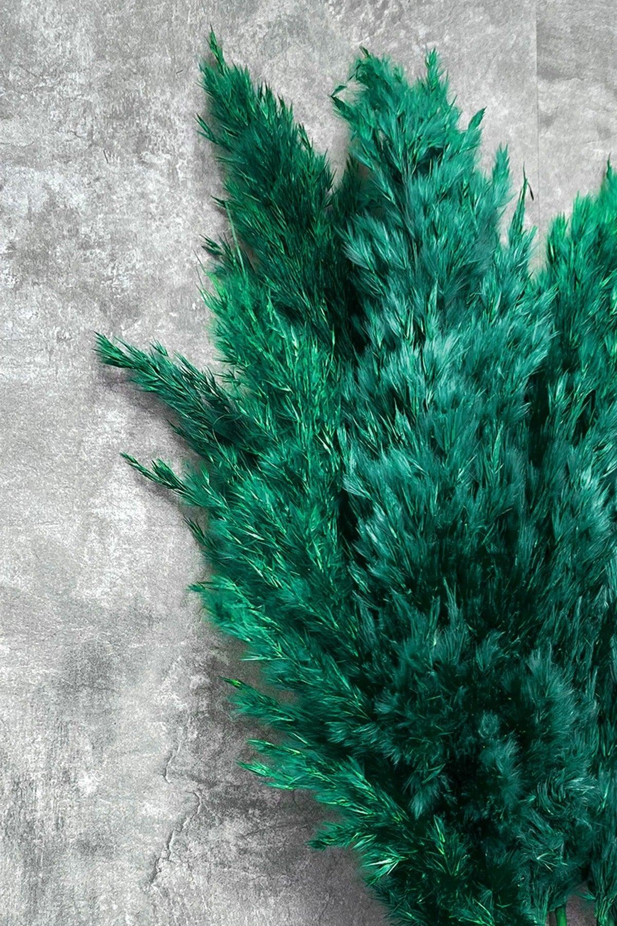 Shocked Emerald Green Color Pampas Bundle of 10 - Swordslife