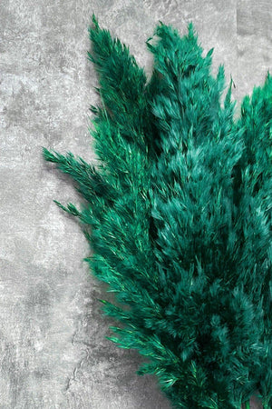 Shocked Emerald Green Color Pampas Bundle of 10 - Swordslife