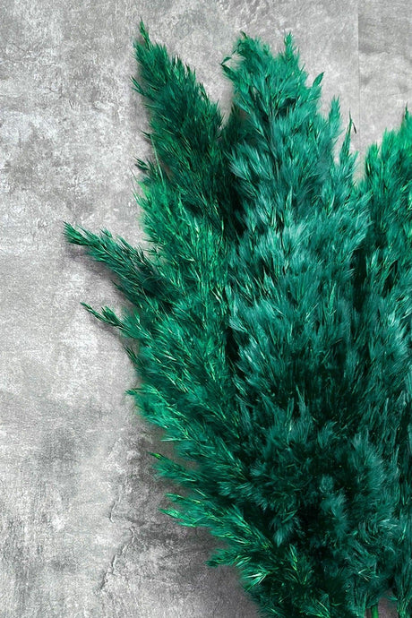 Shocked Emerald Green Color Pampas Bundle of 10 - Swordslife