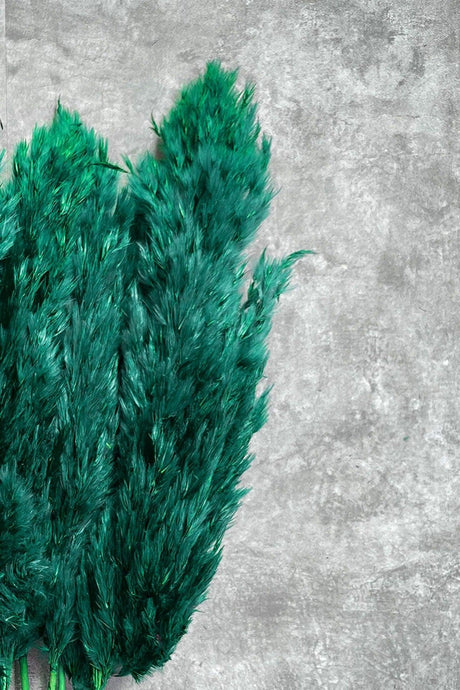 Shocked Emerald Green Color Pampas Bundle of 10 - Swordslife