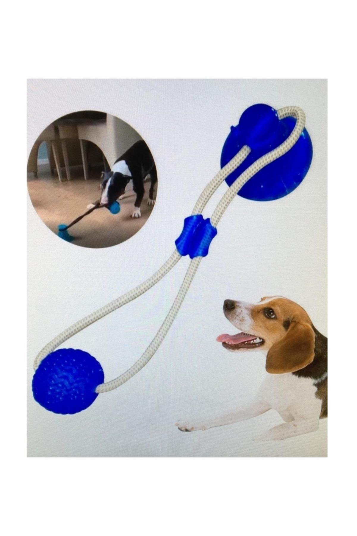 Suction Cup Puppy Rope Silicone Flexible Teeth