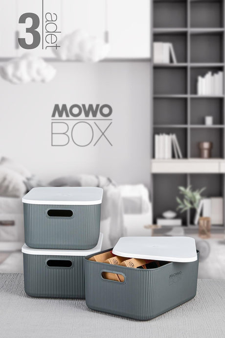 Trove 3 Pieces 13.4 Lt (gray) Organizer Box with Lid, Decorative Storage Box - Swordslife