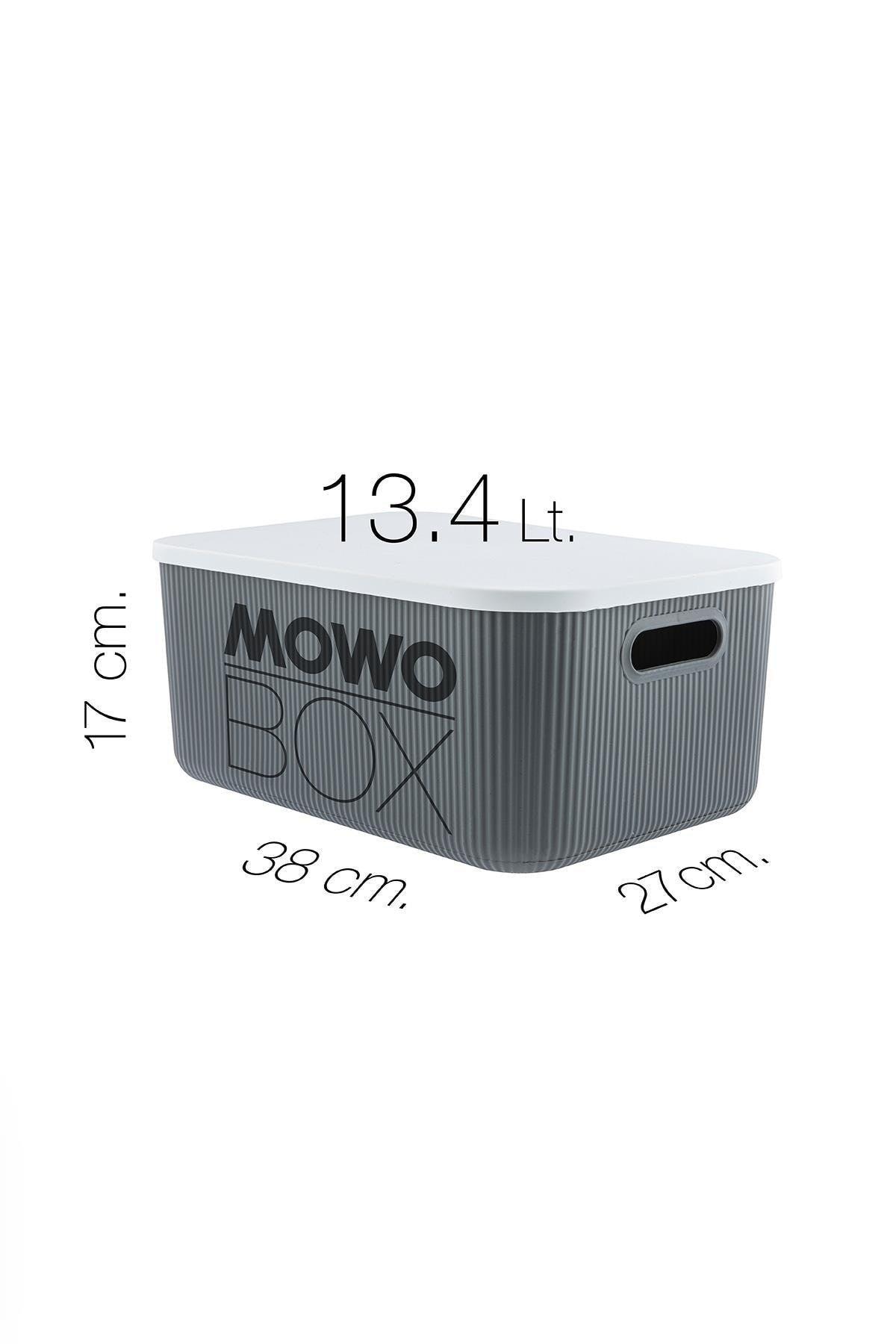 Trove 3 Pieces 13.4 Lt (gray) Organizer Box with Lid, Decorative Storage Box - Swordslife