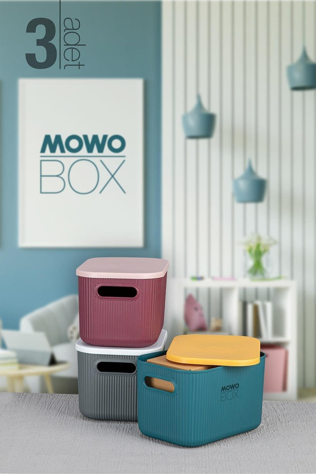 Trove 3 Pieces 6.2 Lt (mix) Organizer Box with Lid, Decorative Storage Box - Swordslife