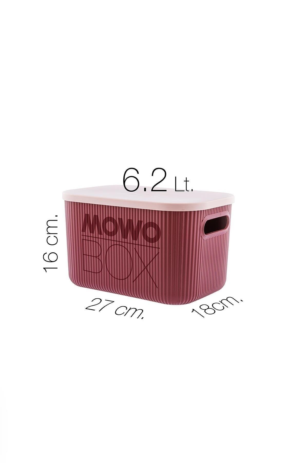 Trove 3 Pieces 6.2 Lt (Plum) Organizer