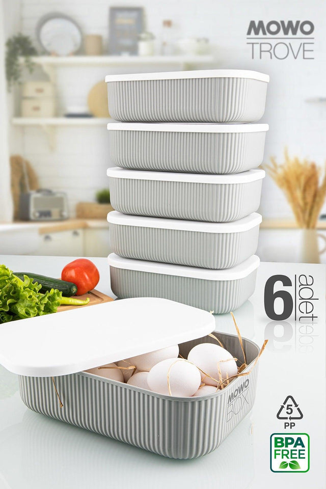 Trove 6 Pieces 3.2 Lt (gray) Kitchen Storage Container - Swordslife