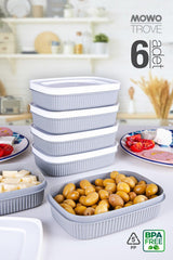 Trove Mini (gray) Breakfast Fridge Container with Lid 600ml - Swordslife