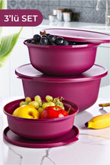 Tupy Bowl with Lid Set of 3 Purple - Swordslife