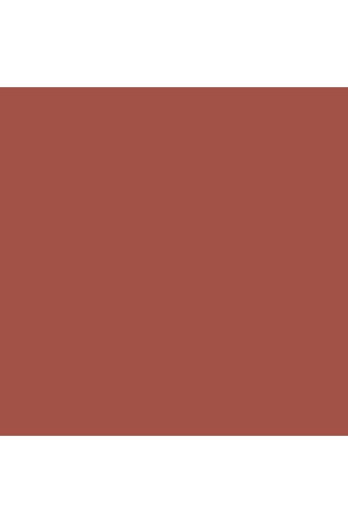 Ultra Rich Color Lip Liner 09 Dried Rose