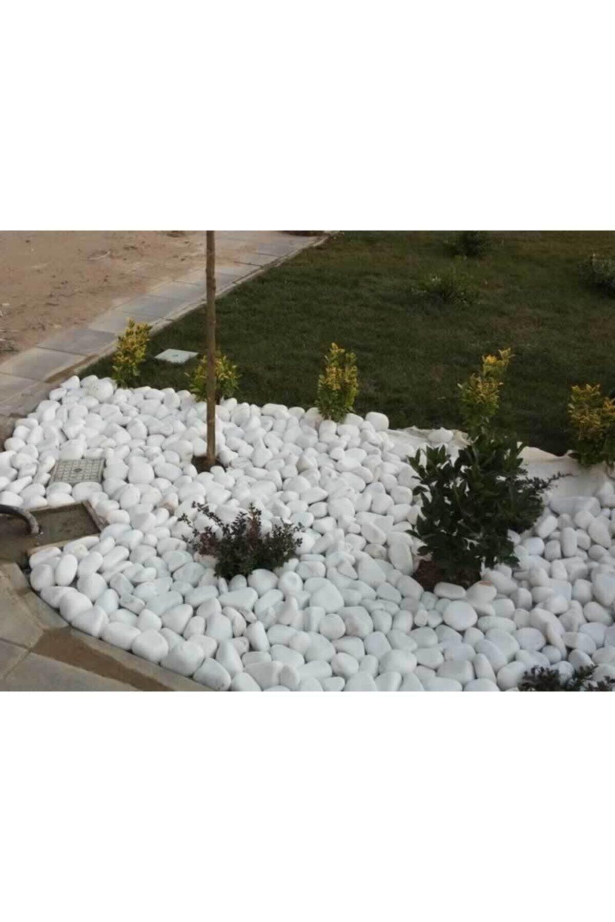 White Dolomite Stone 10 Kg 4-6 Cm Decorative Stone Garden Ornamental Stone Loche - Swordslife