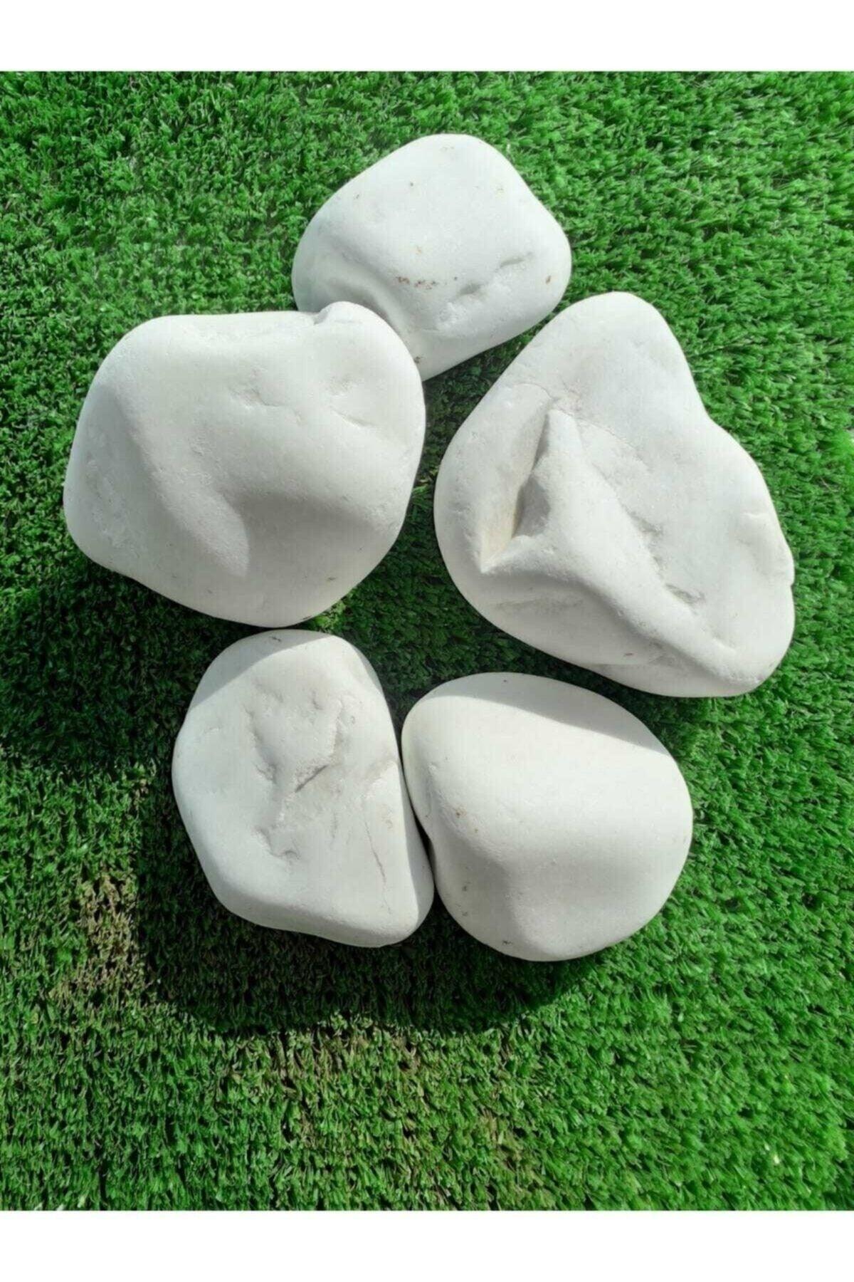 White Dolomite Stone 10 Kg 4-6 Cm Decorative Stone Garden Ornamental Stone Loche - Swordslife