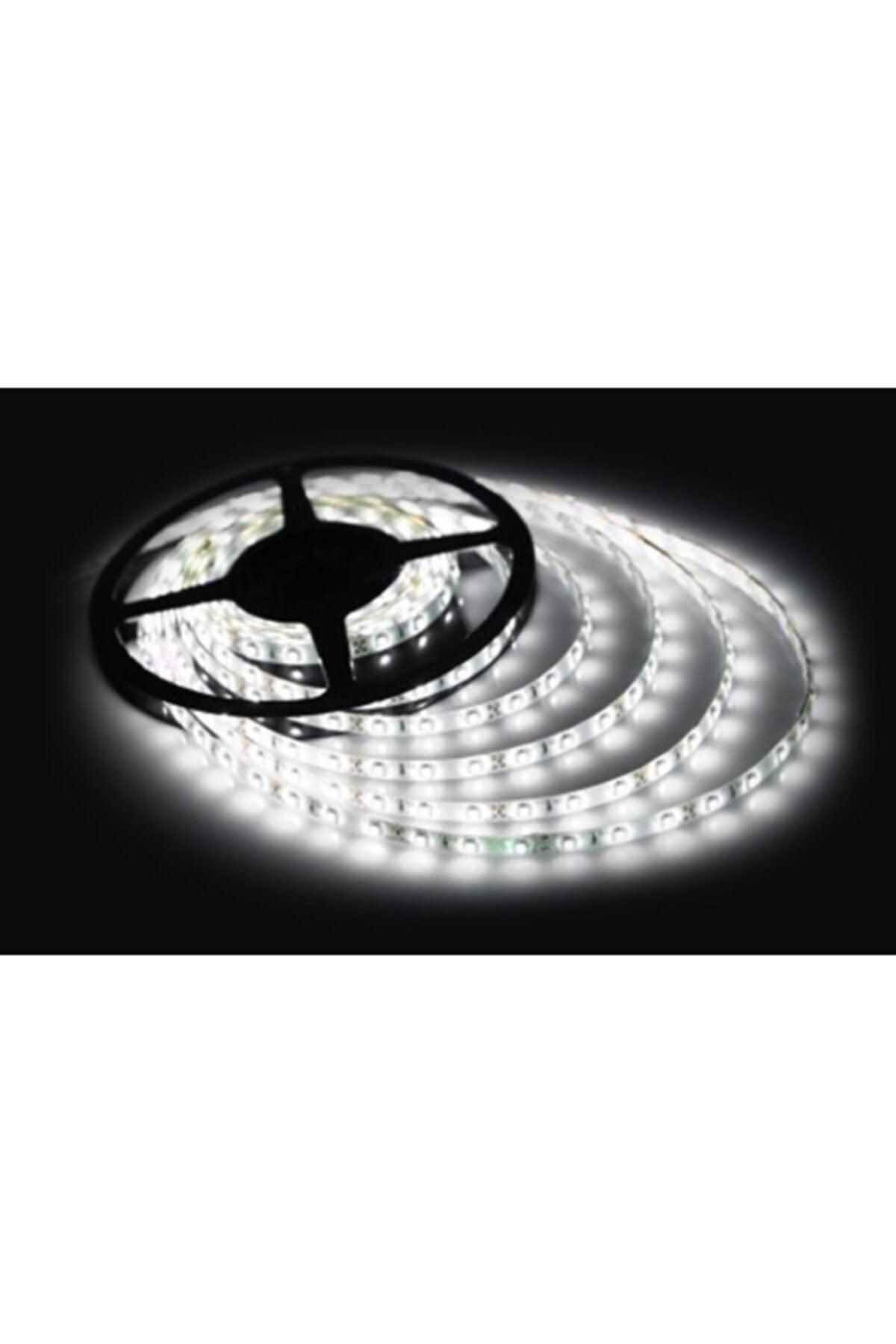 White Light 5 Meter 12 Volt 3 Chip Indoor