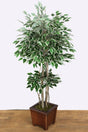 Artificial Dwarf Benjamin Tree 135 Cm Green-white Starlight - Swordslife