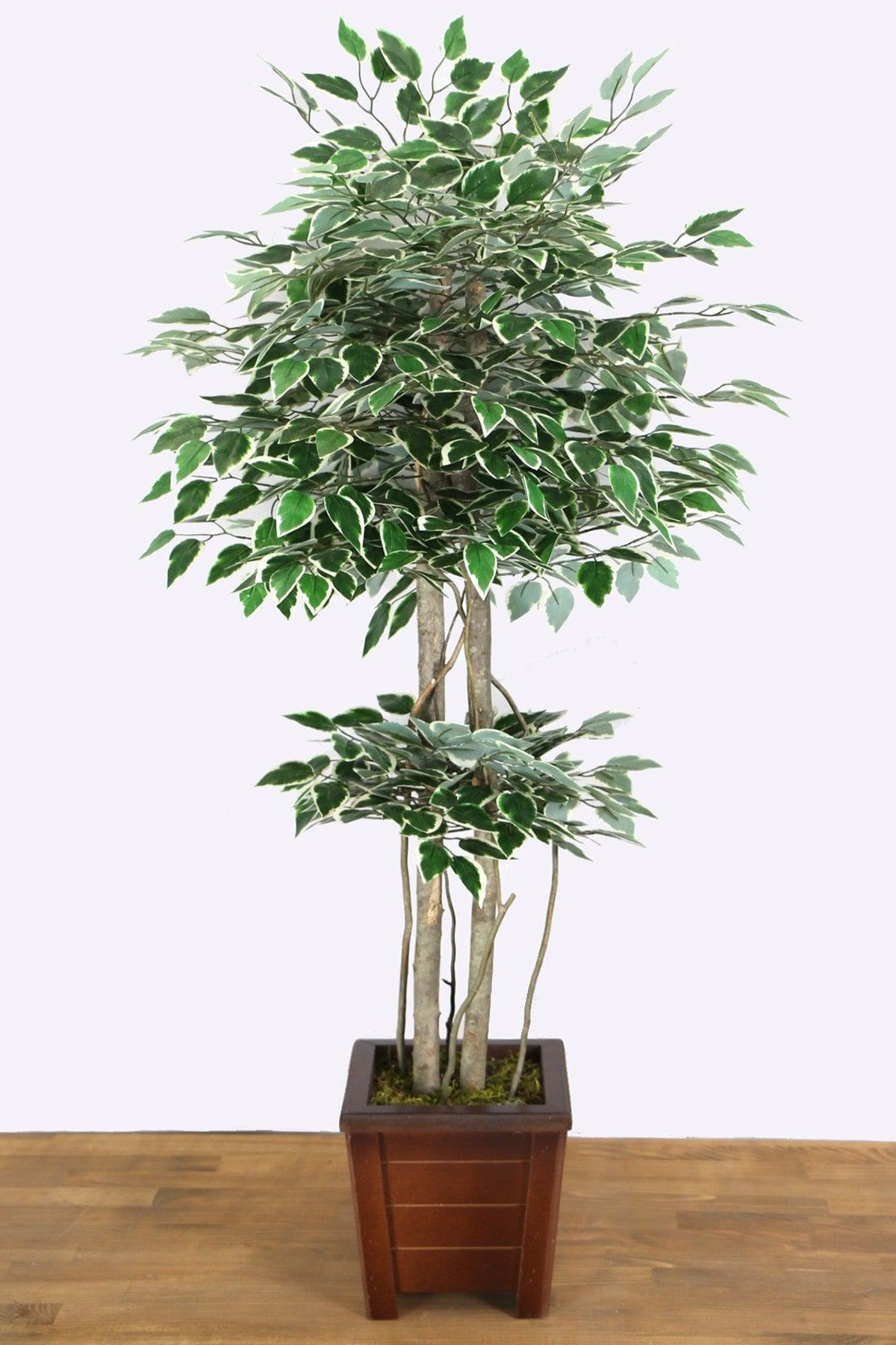 Artificial Dwarf Benjamin Tree 135 Cm Green-white Starlight - Swordslife