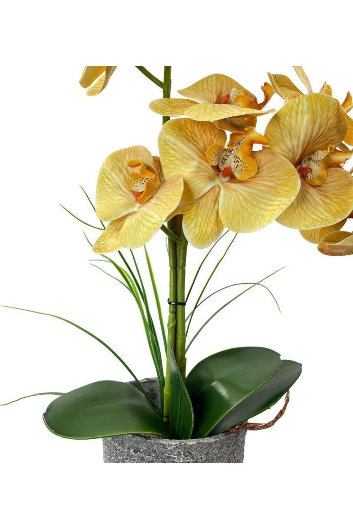 Artificial Flower 2 Mustard Wet Orchid Ceramic Pot Orchid 60cm - Swordslife