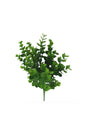 Artificial Flower Boxwood Jumbo Bunch Garnish Green Aradal Decorative Artificial Plant - Swordslife