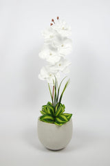 Artificial Orchid Flower in Concrete Pot - Swordslife