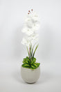 Artificial Orchid Flower in Concrete Pot - Swordslife