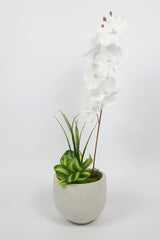 Artificial Orchid Flower in Concrete Pot - Swordslife